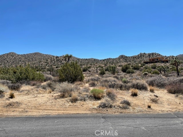 MLS #JT25087199 image #4