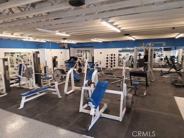 MLS #JT25087540 image #12