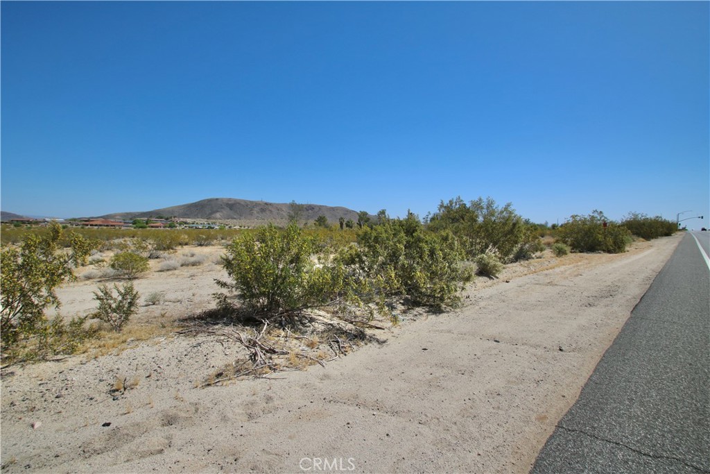 MLS #JT25089763 image #14