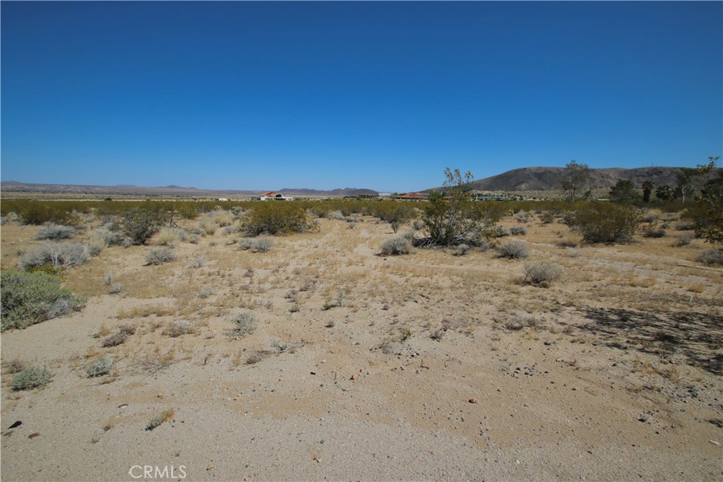 MLS #JT25089763 image #15