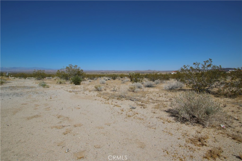 MLS #JT25089763 image #16