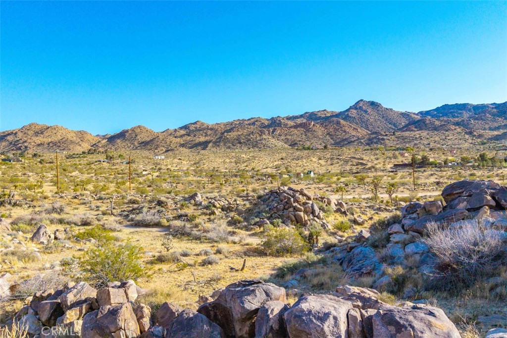 MLS #JT25090430 image #10