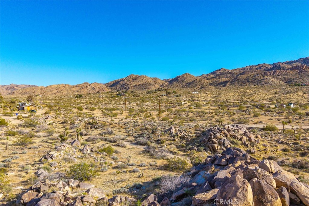 MLS #JT25090430 image #11