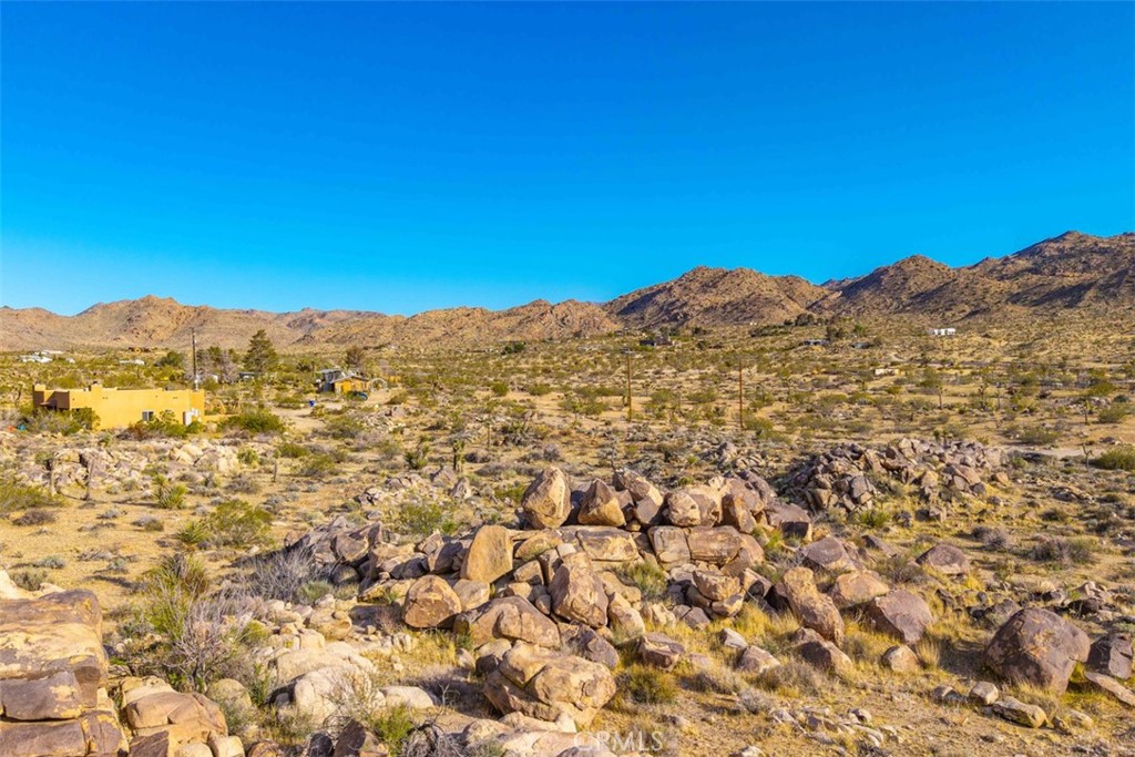 MLS #JT25090430 image #12