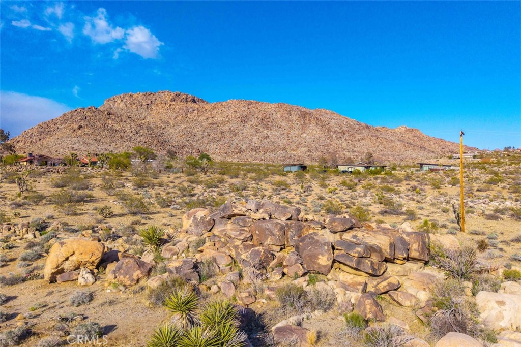 MLS #JT25090430 image #13