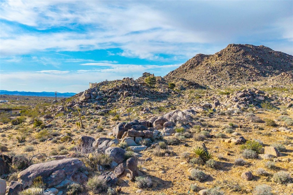 MLS #JT25090430 image #17