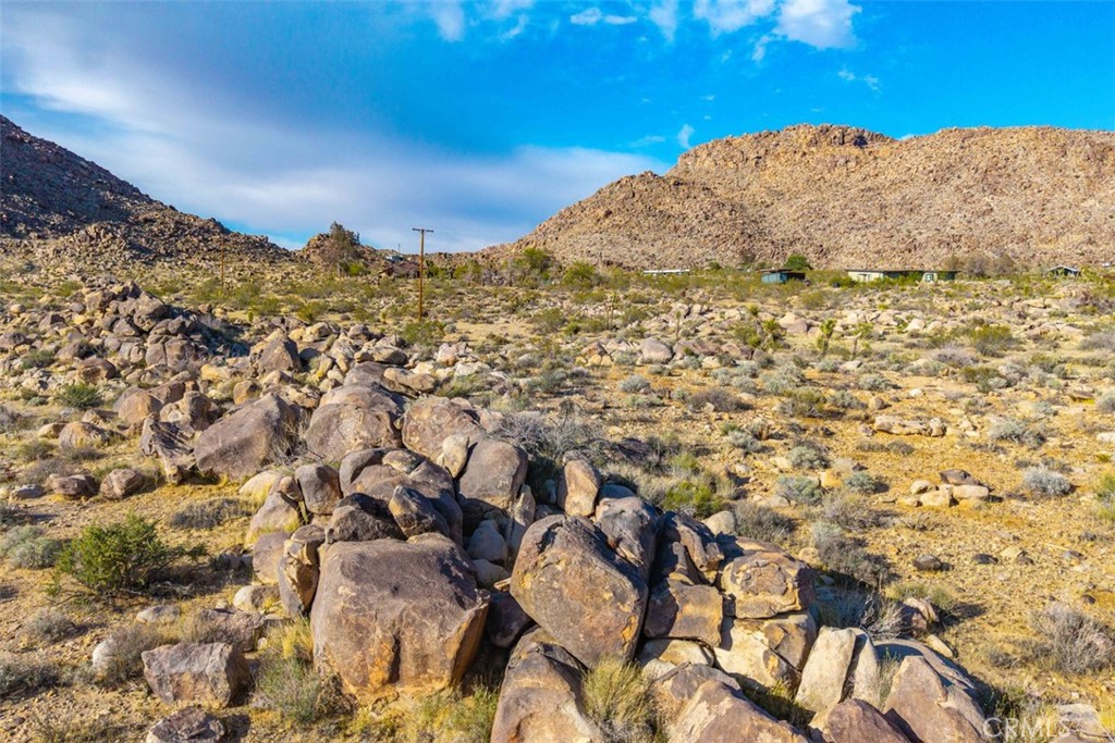 MLS #JT25090430 image #5