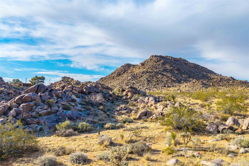 MLS #JT25090430 image #6