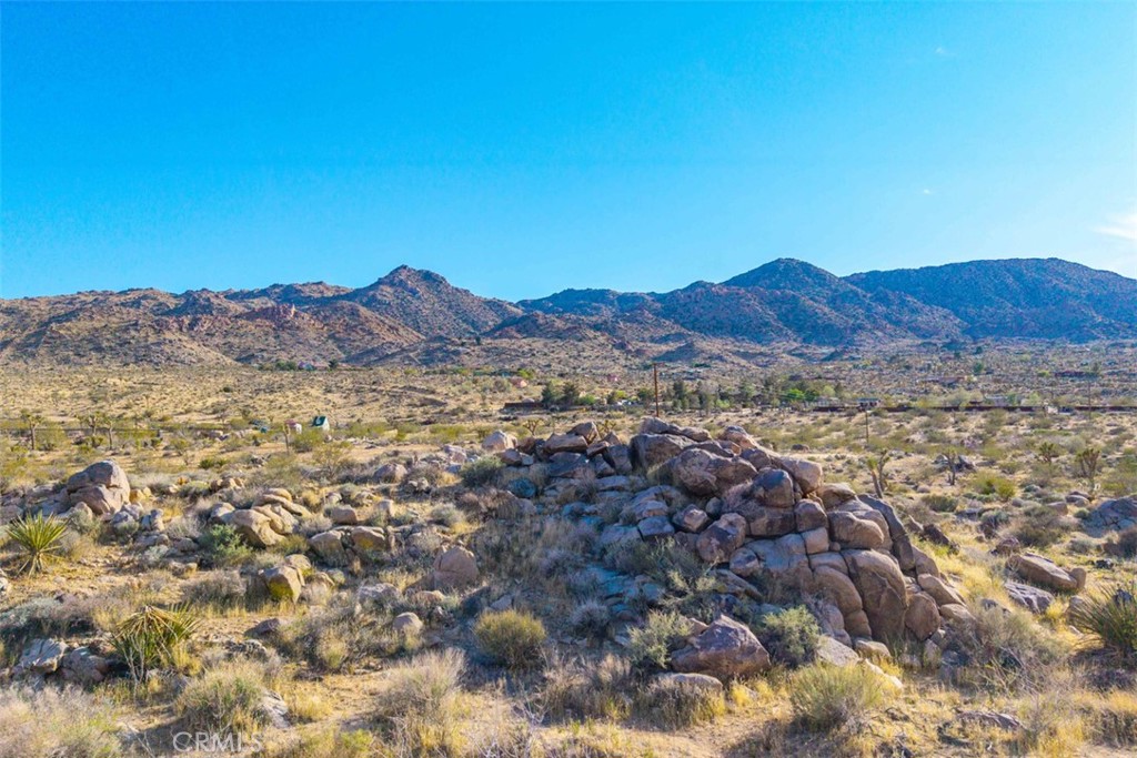 MLS #JT25090430 image #9