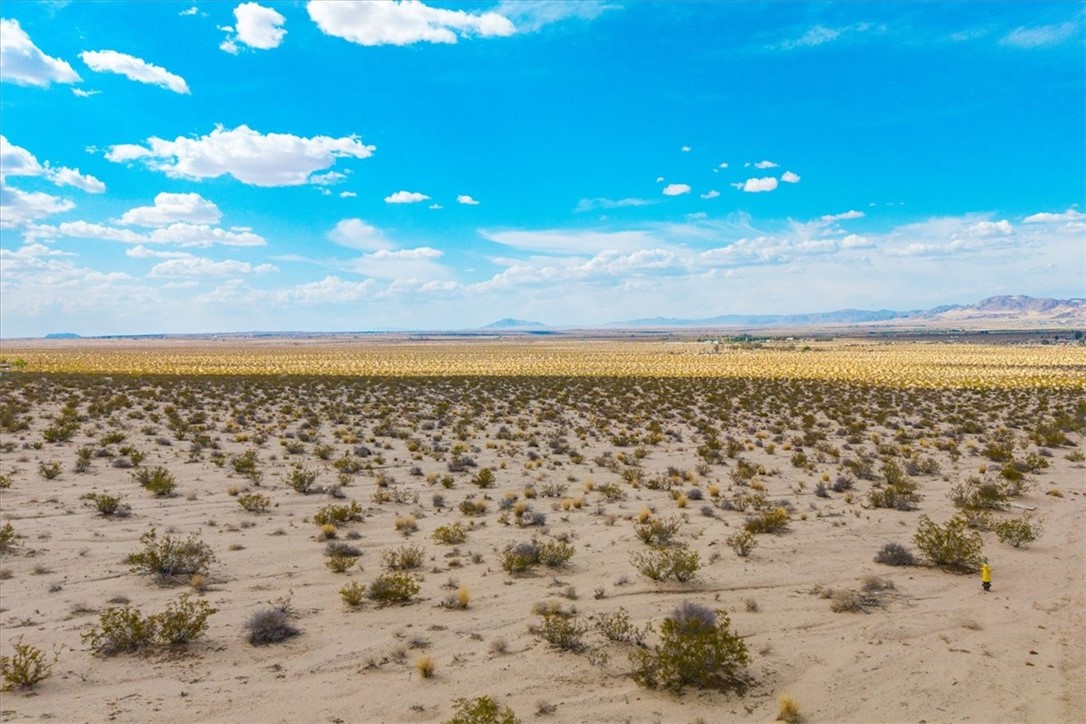 MLS #JT25094425 image #11