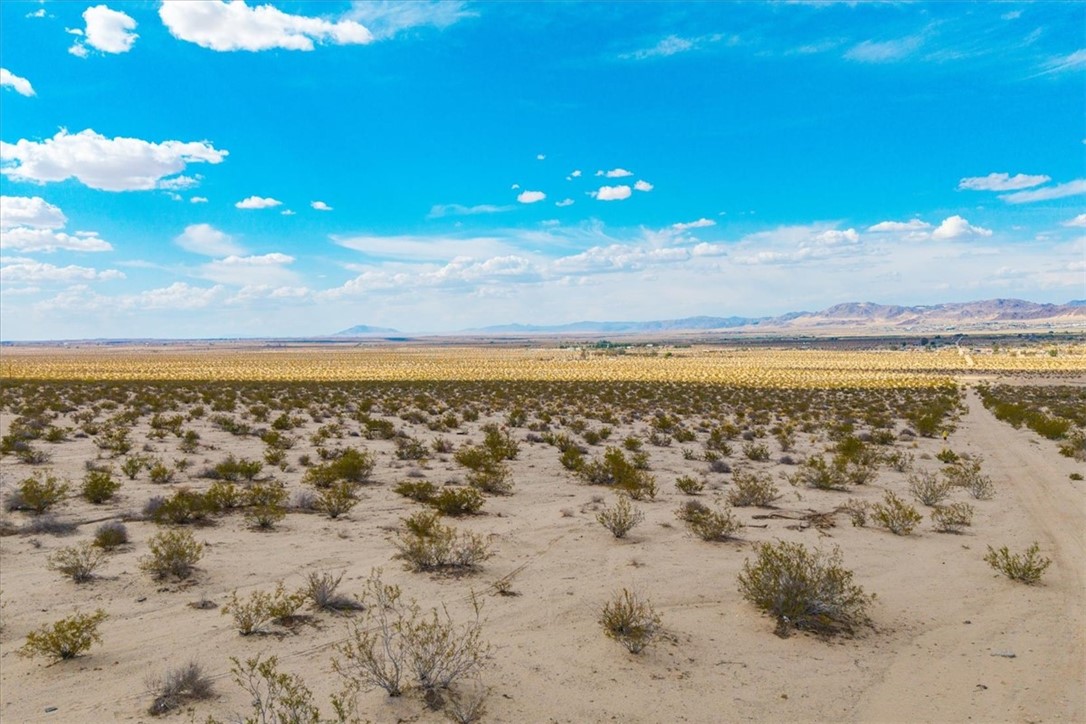 MLS #JT25094425 image #12