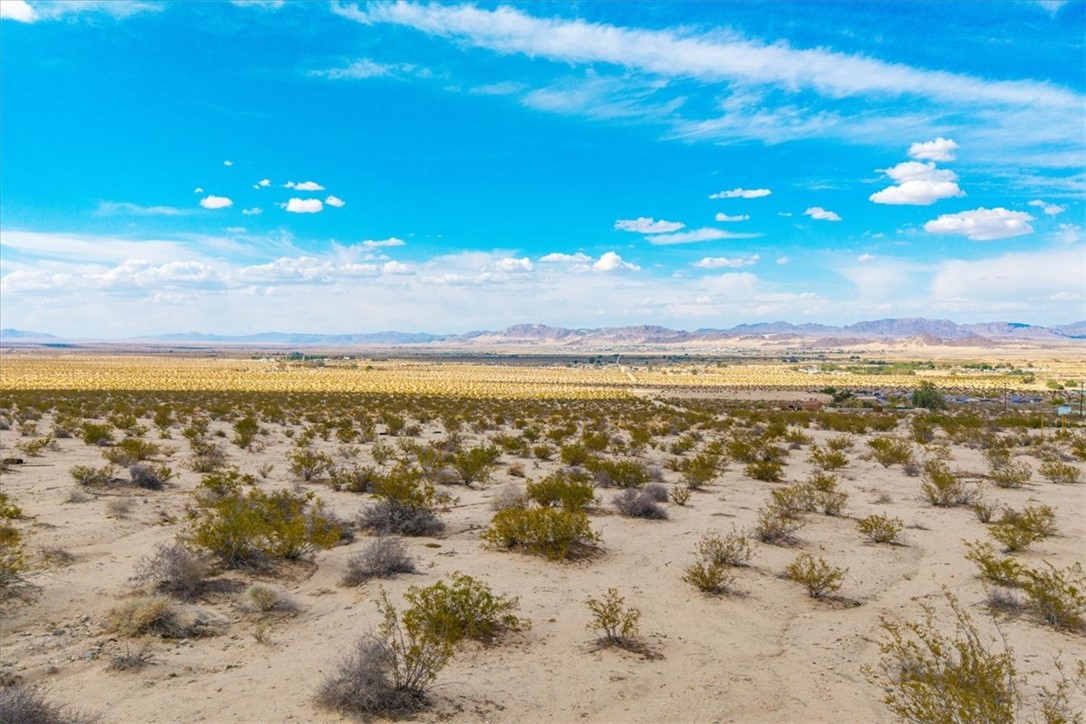 MLS #JT25094425 image #13