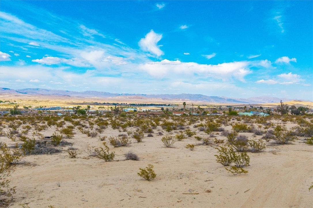 MLS #JT25094425 image #15