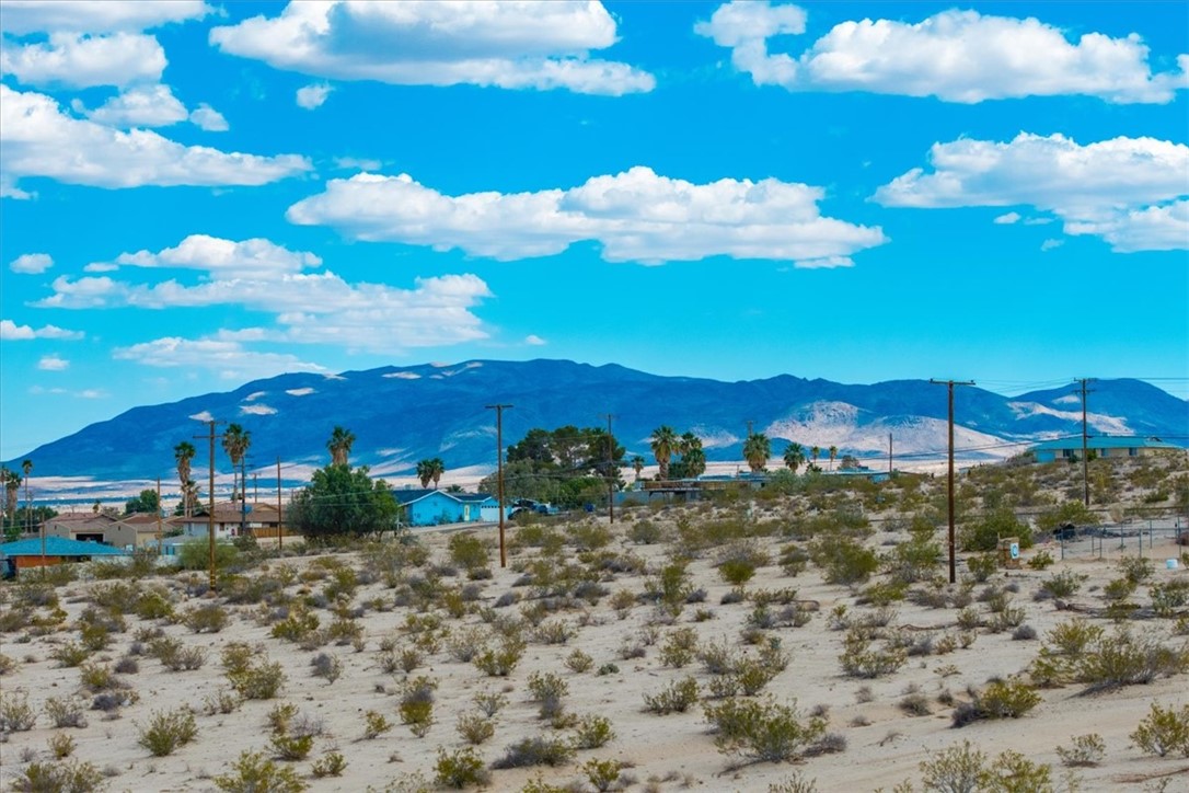 MLS #JT25094425 image #22