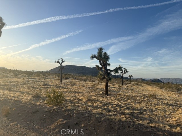 MLS #JT25095852 image #0