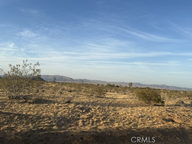 MLS #JT25095852 image #2