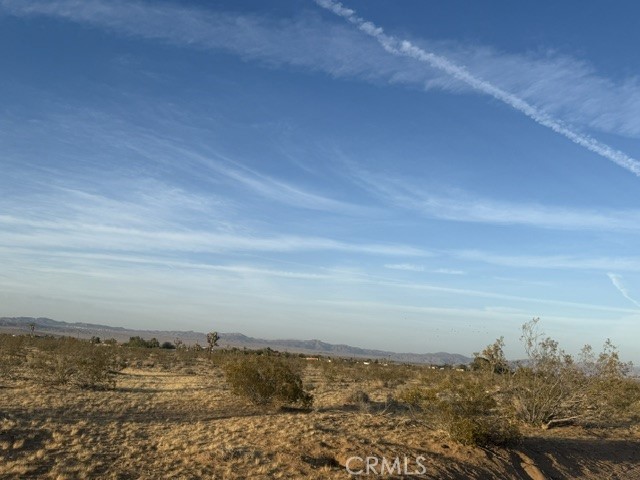 MLS #JT25095852 image #3