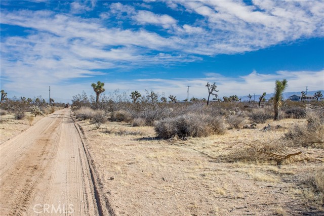 MLS #JT25097293 image #1