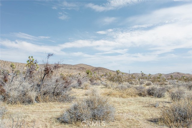 MLS #JT25097293 image #13