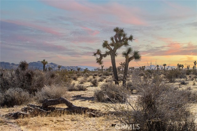 MLS #JT25097293 image #16