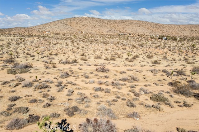 MLS #JT25097293 image #18