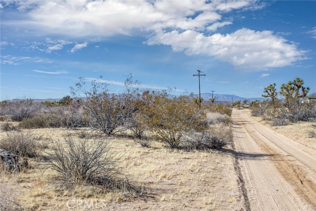 MLS #JT25097293 image #3