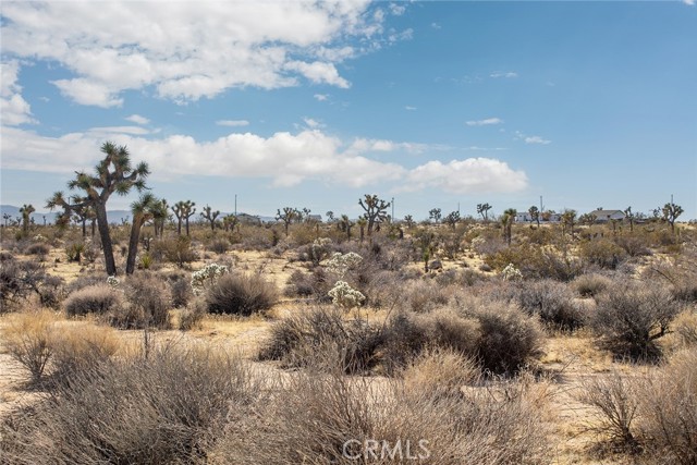 MLS #JT25097293 image #5