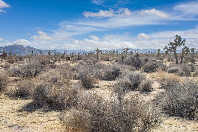 MLS #JT25097293 image #7