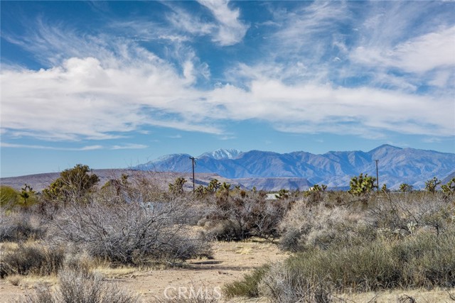 MLS #JT25097293 image #9