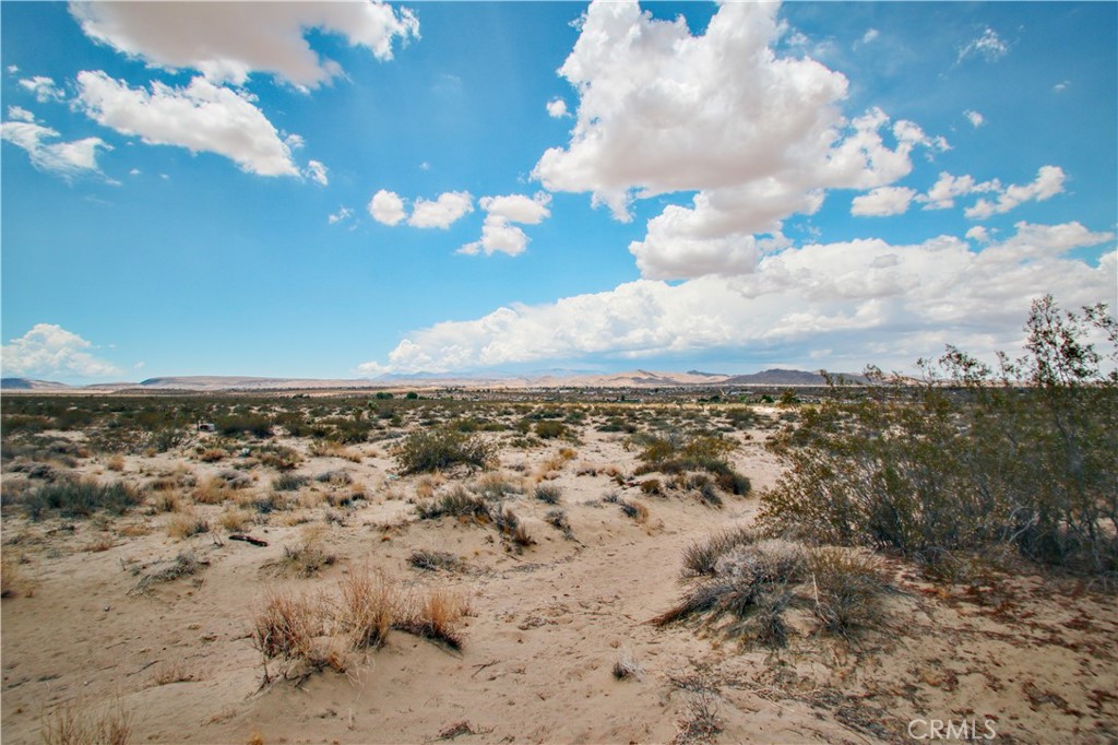 MLS #JT25097780 image #19