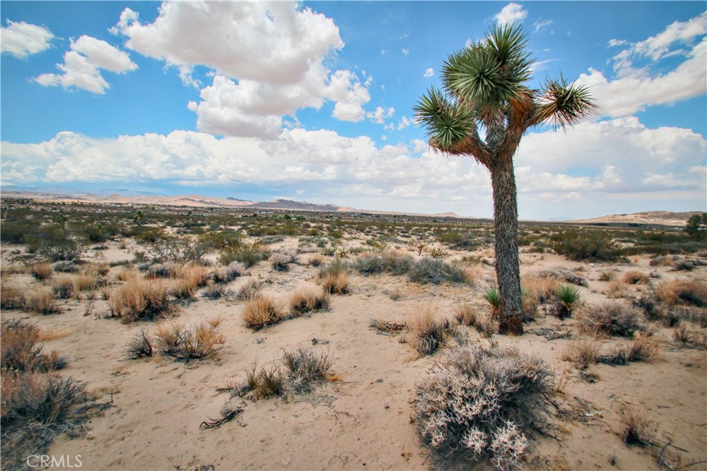 MLS #JT25097780 image #20