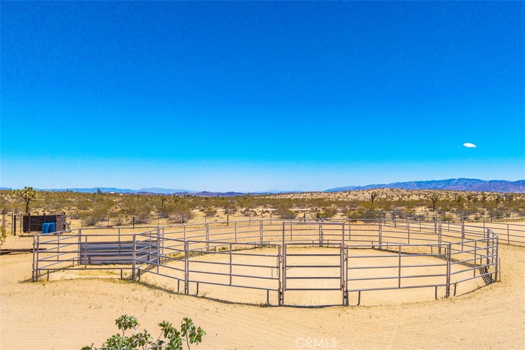 MLS #JT25099273 image #43