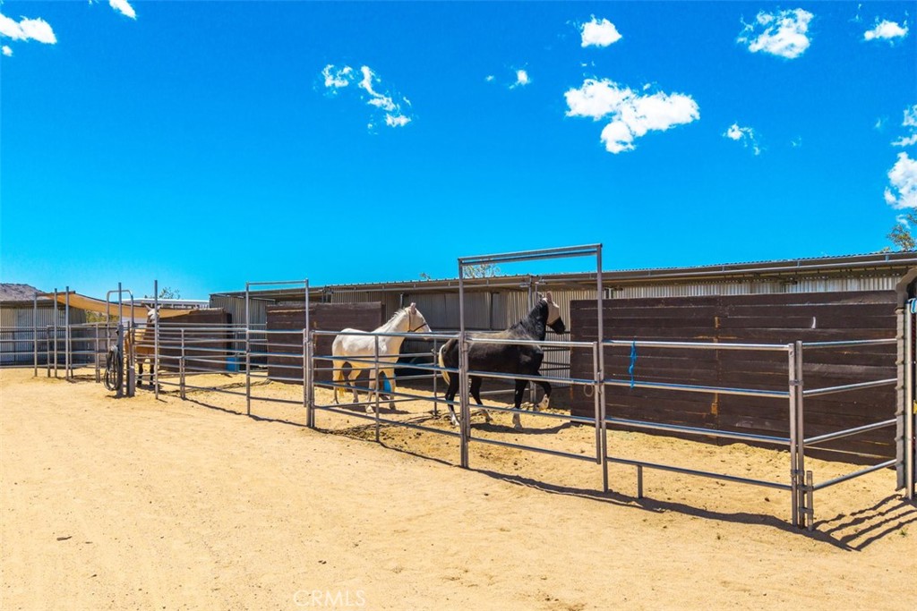 MLS #JT25099273 image #45