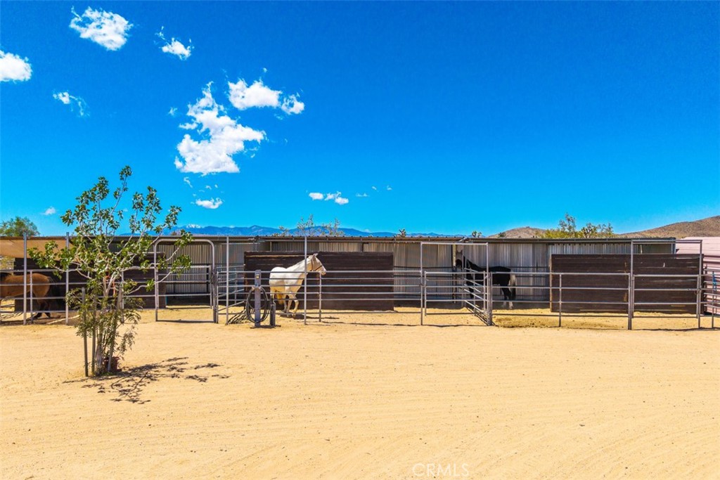 MLS #JT25099273 image #47