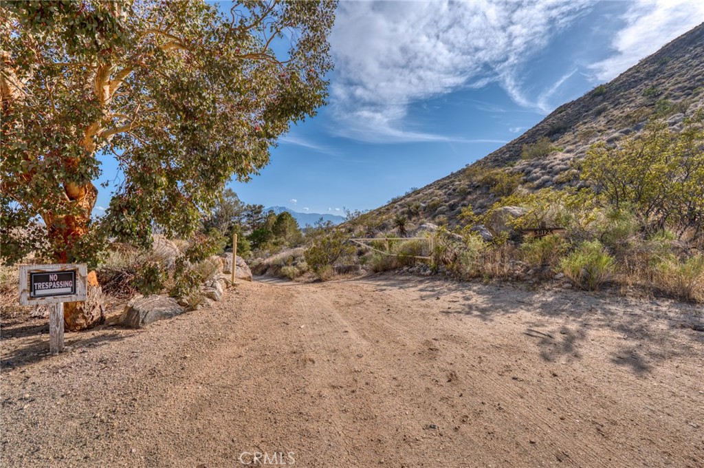 MLS #JT25099314 image #1