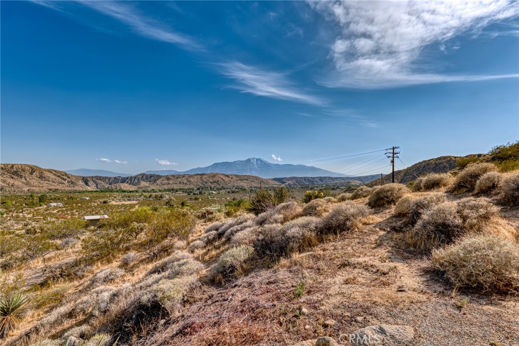 MLS #JT25099314 image #33