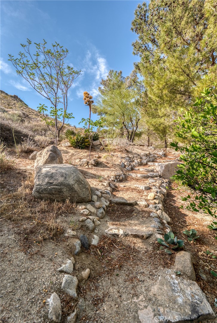 MLS #JT25099314 image #36