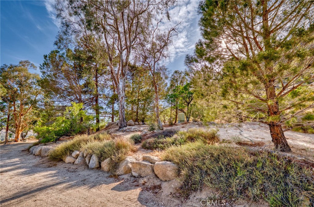 MLS #JT25099314 image #39