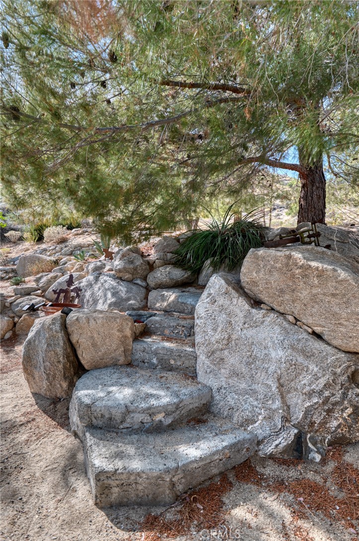 MLS #JT25099314 image #4