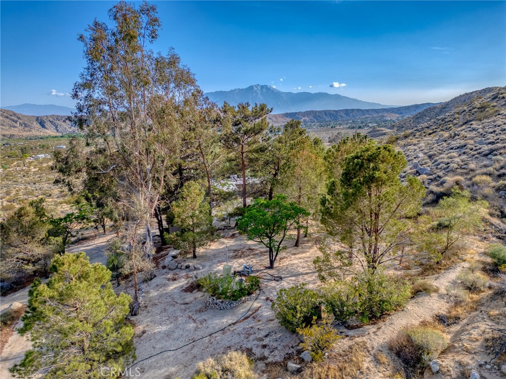 MLS #JT25099314 image #54