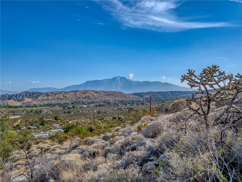 MLS #JT25099314 image #55