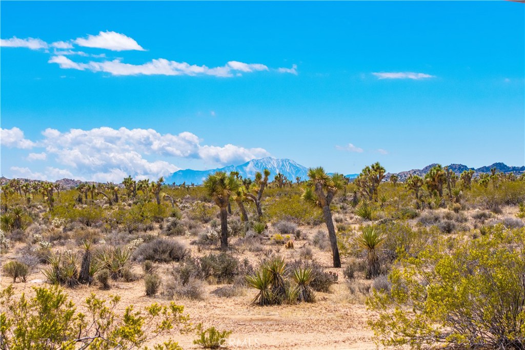 MLS #JT25100627 image #48