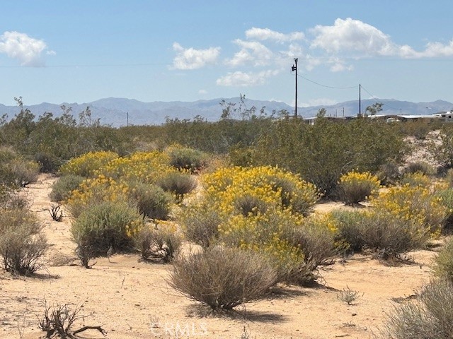 MLS #JT25102839 image #3