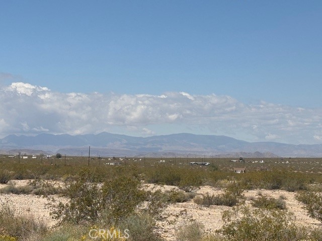 MLS #JT25102839 image #4