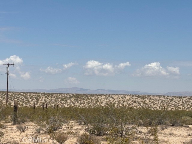 MLS #JT25102839 image #5