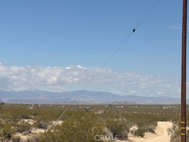 MLS #JT25102839 image #6