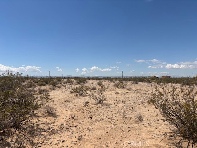 MLS #JT25102839 image #7