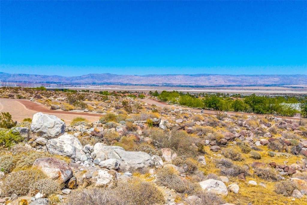 MLS #JT25105108 image #14