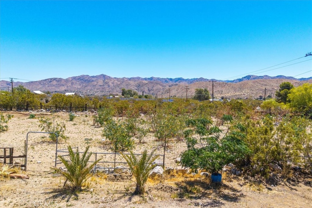 MLS #JT25106505 image #71