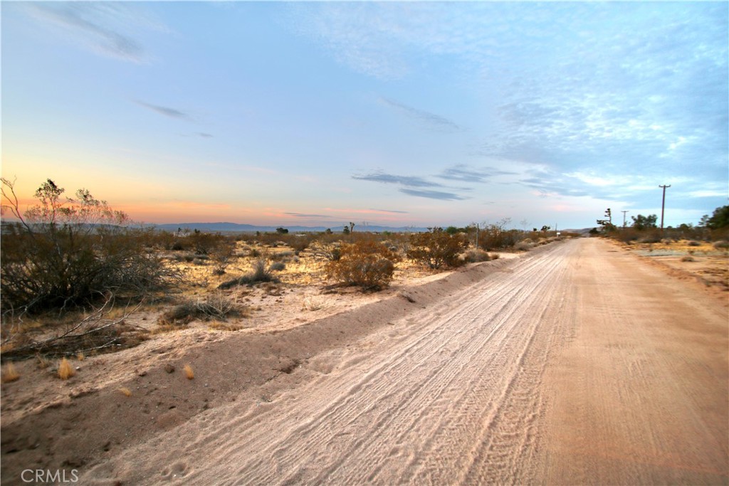 MLS #JT25109103 image #7